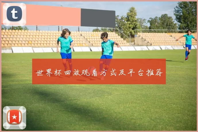 世界杯回放观看方式及平台推荐