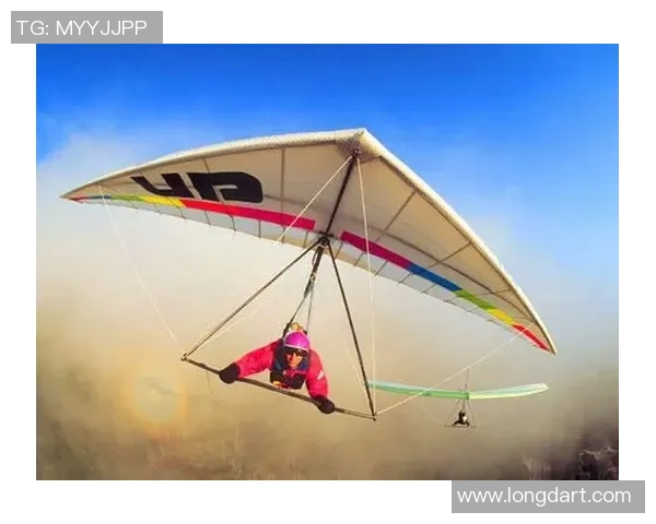 极限挑战与自我超越：杨敏的深度对话与运动人生探索