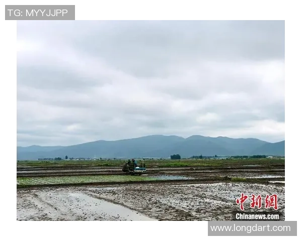 科学街舞团队协作训练方法探究与实践分享 科学街舞团队协作训练方法探究与实践分享