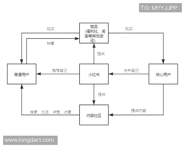 飞盘热潮下的北京飞盘队运营模式与发展策略分析